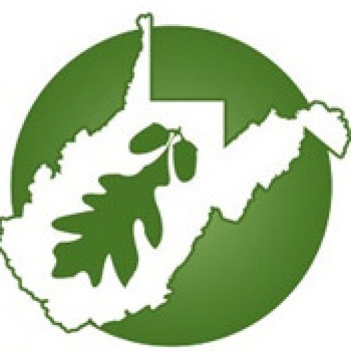 WVFA Executive Director Search and Position Description