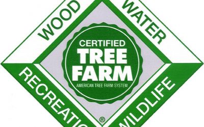 Tree Farm Scholarship Application Available Now!