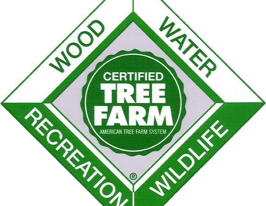 Tree Farm Scholarship Application Available Now!