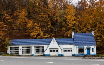 The Importance of West Virginia Forests