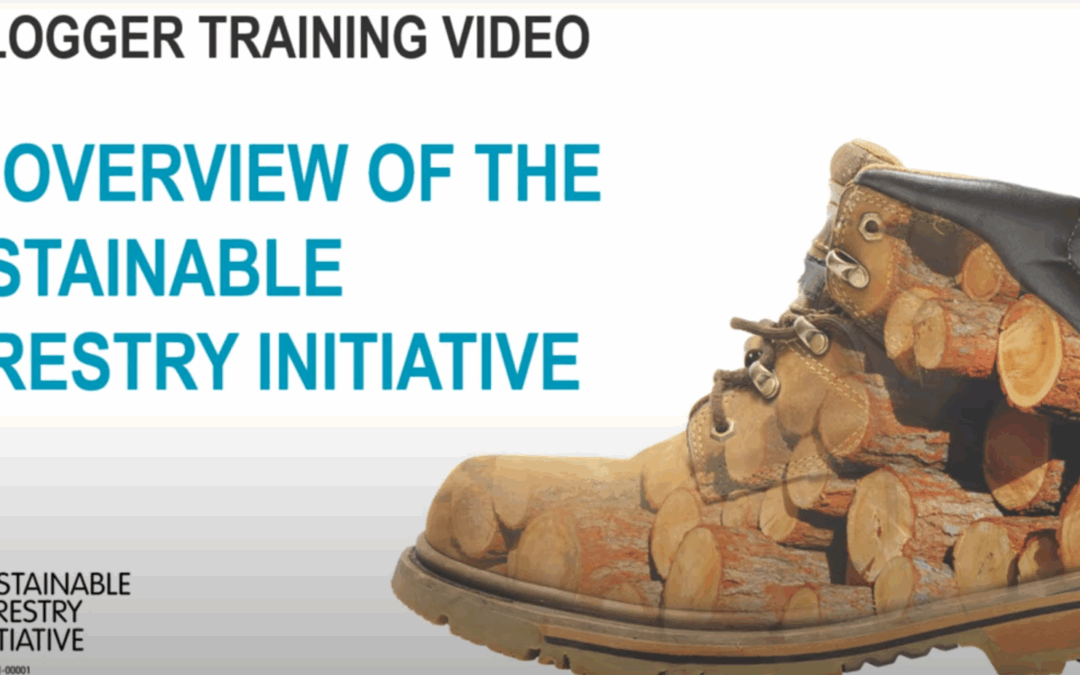 New Video Resource Provides In-Depth Look at Sustainable Forestry Initiative (SFI)
