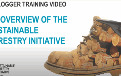 New Video Resource Provides In-Depth Look at Sustainable Forestry Initiative (SFI)